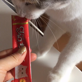 ちゅ〜るのタラバカニ好きにゃんの画像