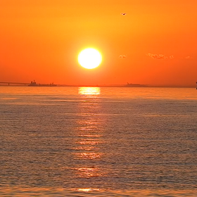 こんばんはの画像