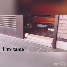 珍しい映像の画像