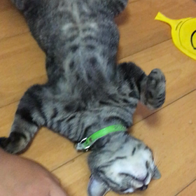 「開き」動画見て、ユルユルしてくださいね～夏だし(^_-)-☆の画像