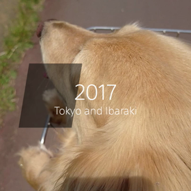 作ってみた…の画像