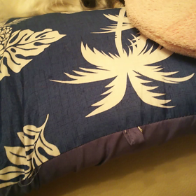 聞こえるかな～(≧∇≦)の画像