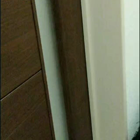 猫ちゃんの日♬の画像