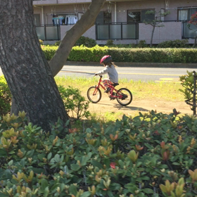 心と体の相関性〜裏ニュートラルへの道の画像