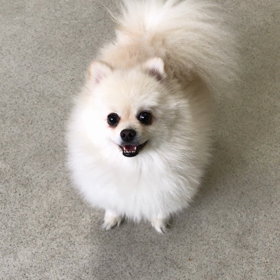 ♪プレイルーム動画♪③の画像