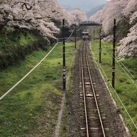 充実できた休日に感謝！の画像