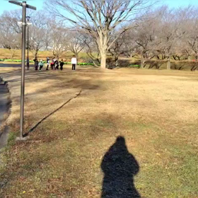 1/6 クロカンダッシュ②  の画像