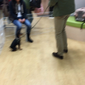 帰っても覚えててね。の画像