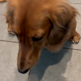 かけ算しますの画像