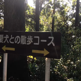 ♪お散歩動画♪砧公園♪の画像