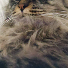 今年最後です❗️の画像