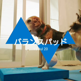 アンディのチャレンジの画像