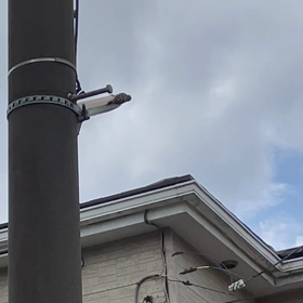 二日間かけて、やっと。の画像