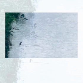 『翡翠』の画像