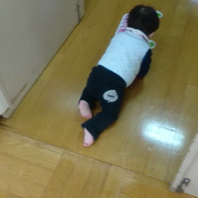 パンの耳の画像