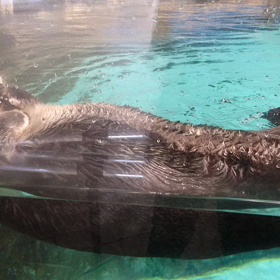 社員旅行2の画像