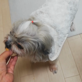 お薬どーこだ♪の画像