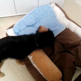 私 VS みんみん ボール探し大会♪の画像