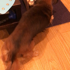 そんなに？！の画像