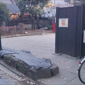 只今、出向中のニャンコ(☆ˇ＿ˇ☆)の画像