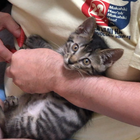 ウンチ踏んじゃったの画像