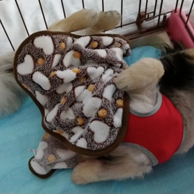 お昼寝たいむの画像