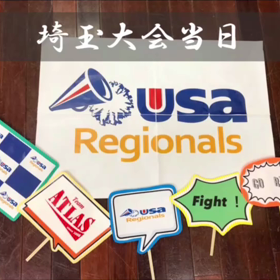 結果報告 atlasRISEの画像