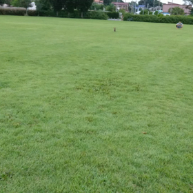 れもん、走ります☆の画像