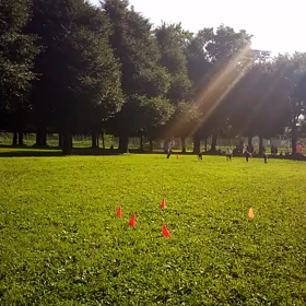 学年別インターバル(紺・黄緑・その他)⑥の画像