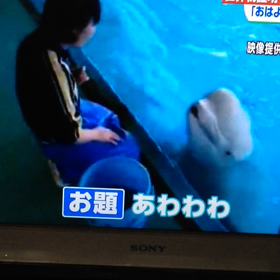 おはようの画像