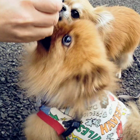 高速お手動画②の画像