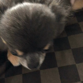 飛ばすぞの画像