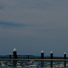 蓮の花とベーグルとの画像