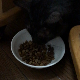 ダディが元気でてきたよー！の画像