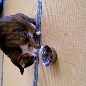 じぃーじ今日の気分は～の画像