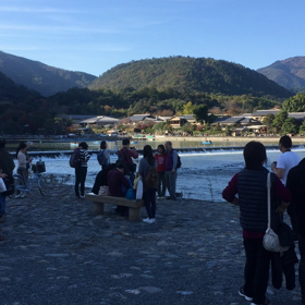 嵐山 動画の画像