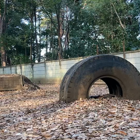 最近こんな感じの画像