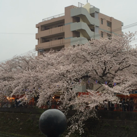 動画を もひとつの画像