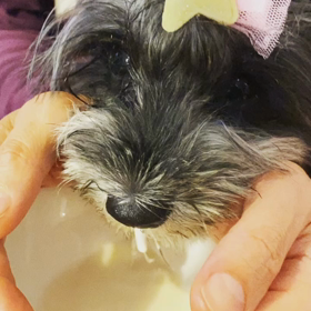 【今朝のひみい】の画像