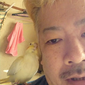 オカメインコのアロマちゃんと私の画像
