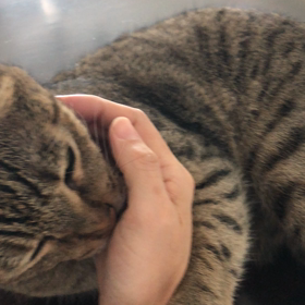 今日のぶんちゃん♡の画像