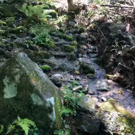 GWも終わりますねの画像