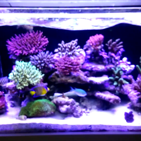 水流を変えてみたの画像