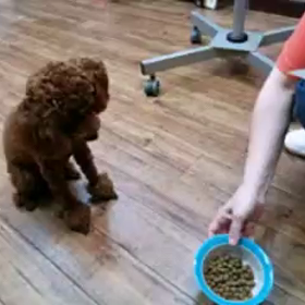 堀江家お食事タイム⏰の画像