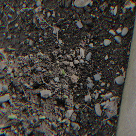 パラパラマンガ的成長記録　21日目現在の  画像