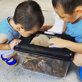 お盆の営業のお知らせです！の画像