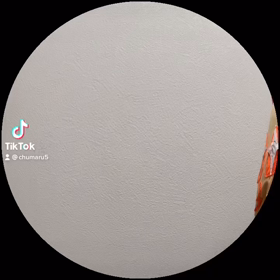 TikTokでワンピースのあれやってみましたの画像