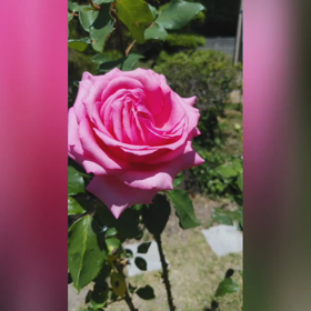 2800投稿を振り返っての画像