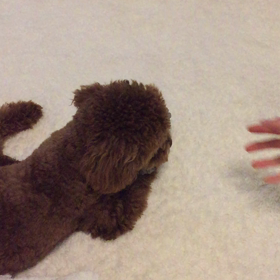 楽しみな時間♪の画像