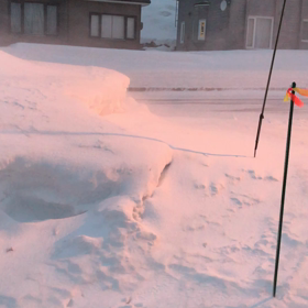 吹雪いて来ましたの画像